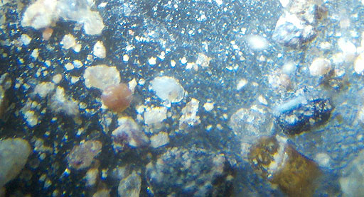 dust grains in microscope
