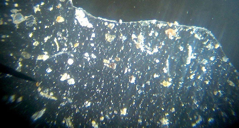 dust from car