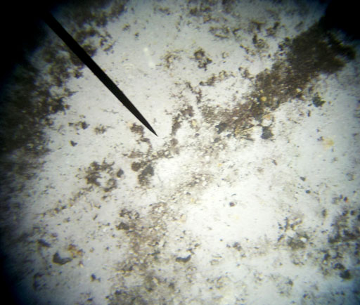 Soot from tail pipe