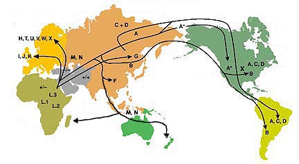 human migration