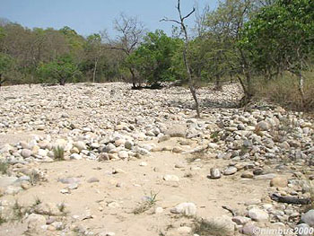 saber riverbed
