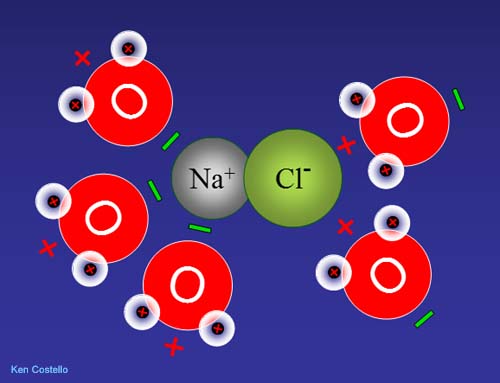 Salt Atom