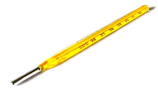 mercury thermometer