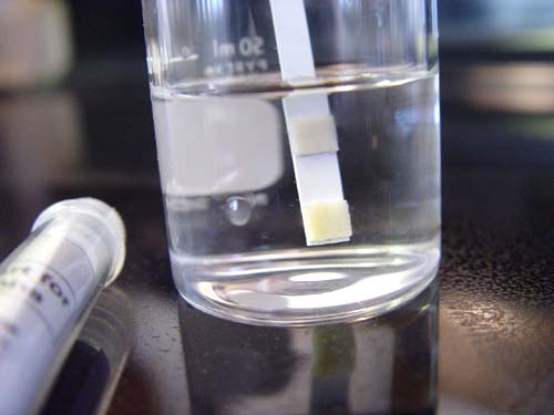 Dip nitrate test strip