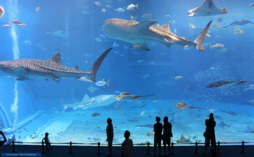 aquarium