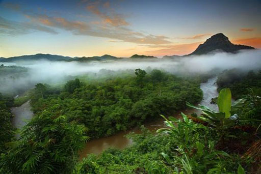 rainforest clouds