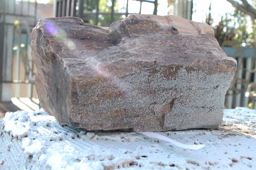 ozone strip under rock