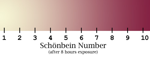 schonbein chart