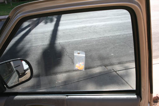 UV beads in car window