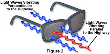 polarized light