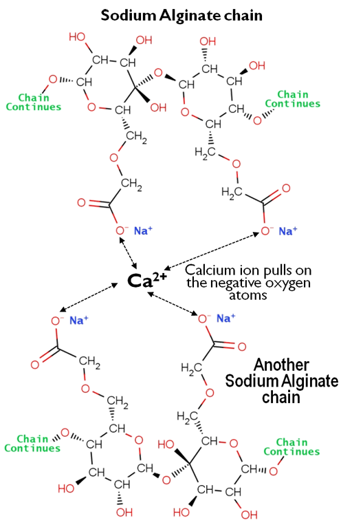 cross linked sodium alginate
