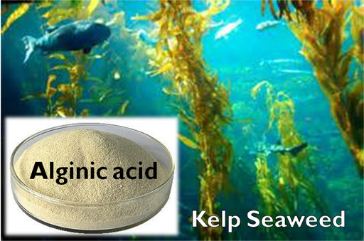 Alginic acid