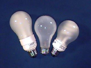 bulbs