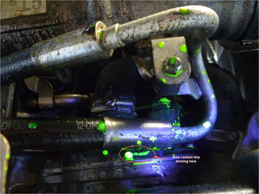 Antifreeze fluorescence