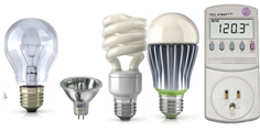 Bulbs