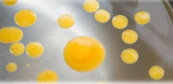 spheres