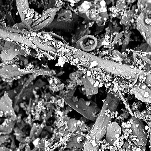 AC filter debris electron microscope
