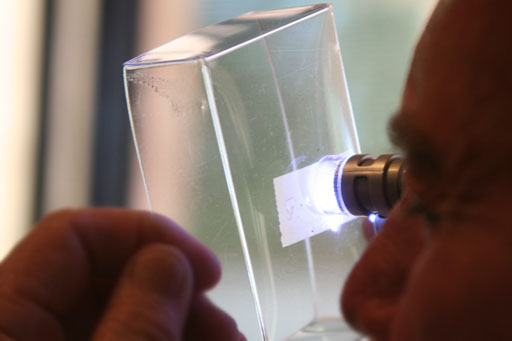 looking through mini microscope