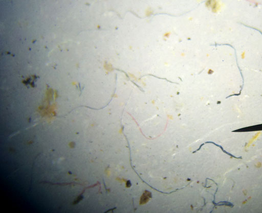 Sample of multiple particles under scope