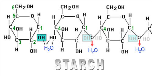 Alpha Glucose Chain