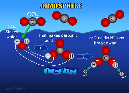 ocean ph