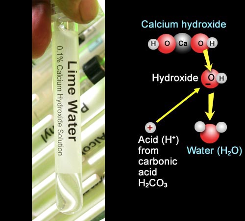 LIme water and reaction