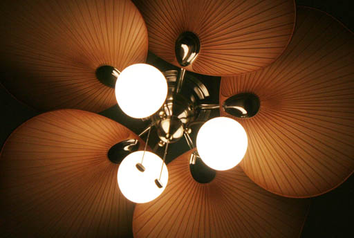 Fan Lights