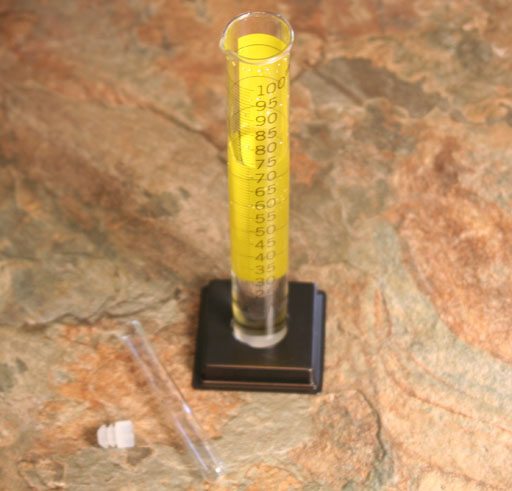 100 mL graduated cylinder
