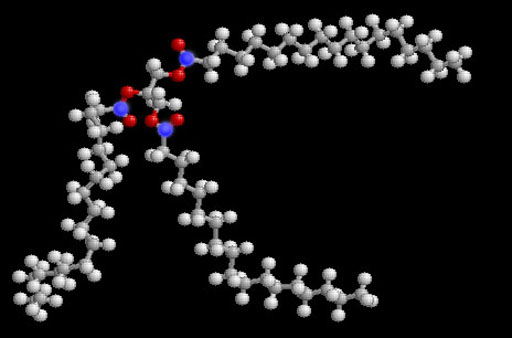 triglyceride molecule