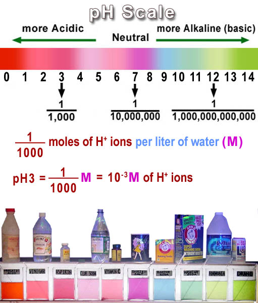 pH scale