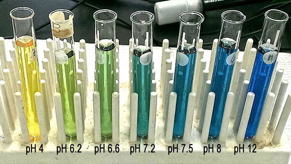 colors of bromothymol blue