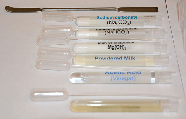 Line up of test tubes with household products