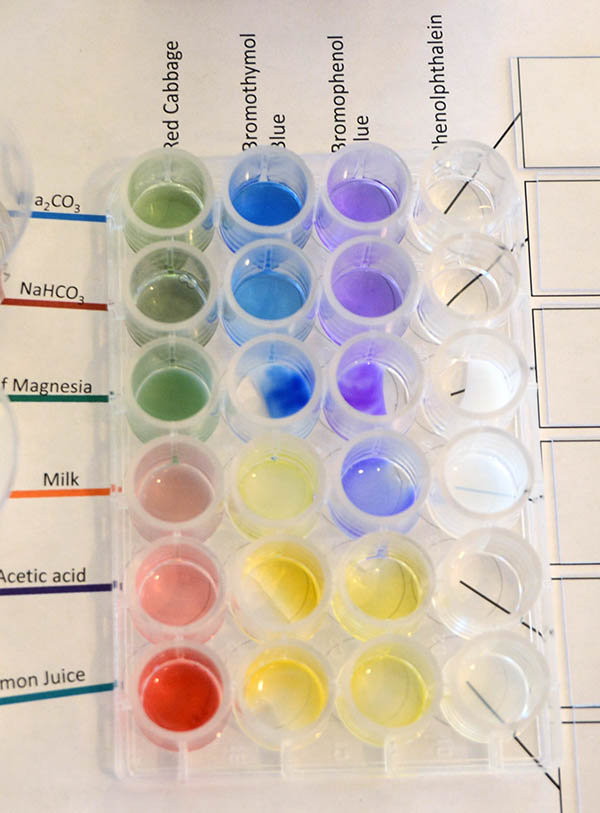 bromophenol colors