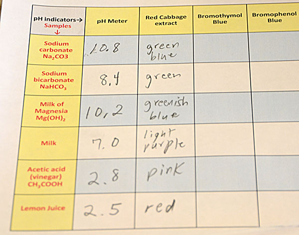 Red cabbage written results