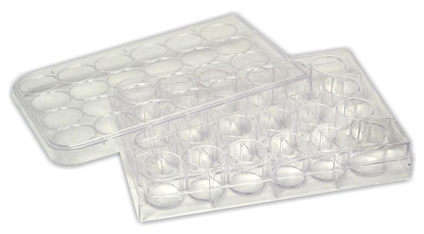 microplate