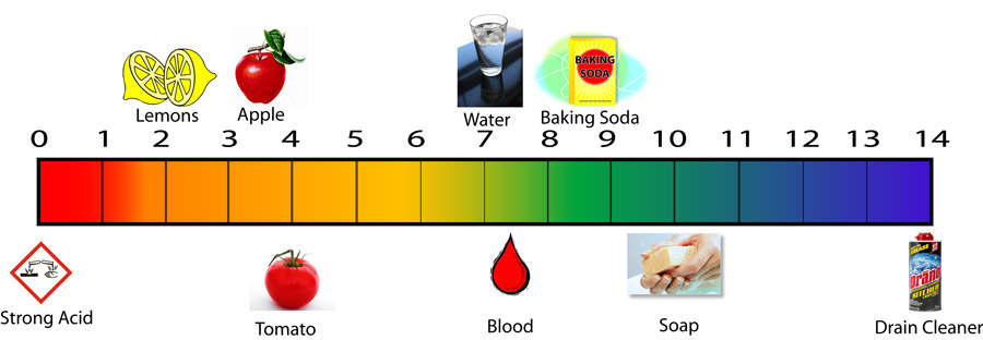 pH scale