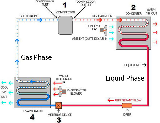 Predicting the outcome when dissolved.