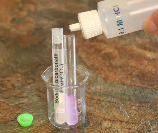 adding HCl to bicarboante soluiton