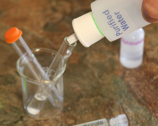 add water to sodium bicarbonate