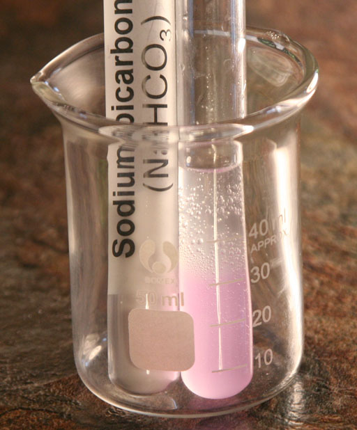 Bubbles caused by HCl and NaHCO3