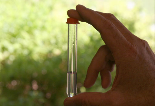 checking test tube to see if carbonate is dissolved