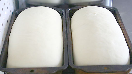 bread rising