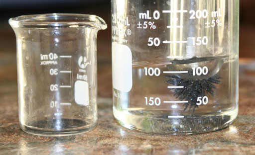 50 mL beaker next to 250 mL beaker