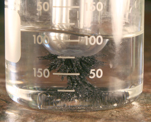 magnet picks up grains of magnetite