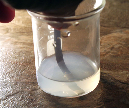 nitrate test strip immersed in water in beaker