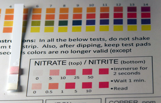 read nitrate test strip by comparing with colors on chart