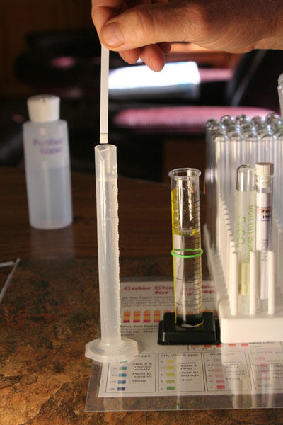 dip iron test strip into graduated cylinder