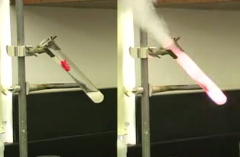 test tube burning gummy bear