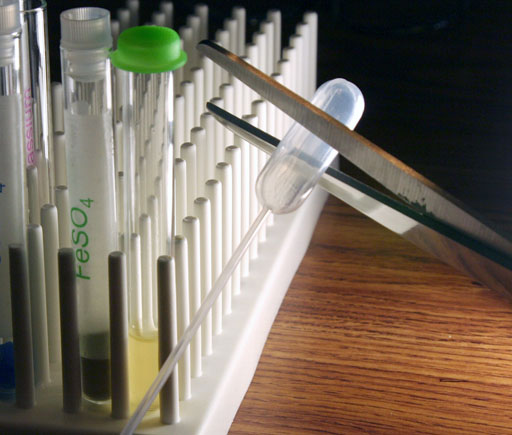 cut disposable pipette