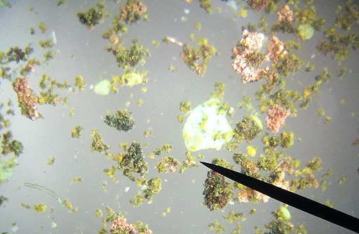 copper particles and yellow green particles in microscope
